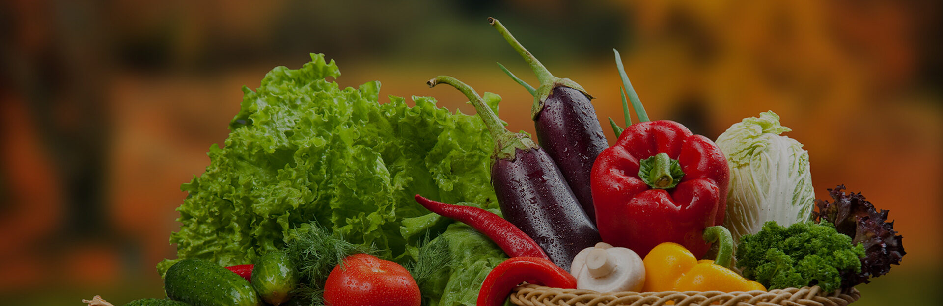 Fresh lettuce, eggplant, peppers, and herbs in a grocery market basket.